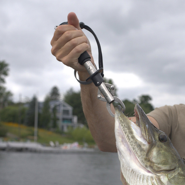 FishUSA Stainless Steel Lip Grip with Scale in use