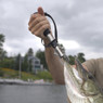 FishUSA Stainless Steel Lip Grip with Scale in use