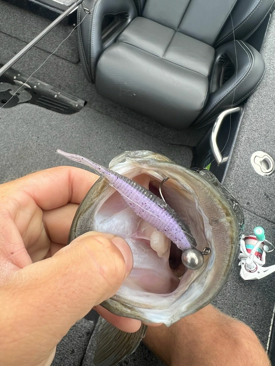 Spotted Bass on Yamamoto Scope Shad