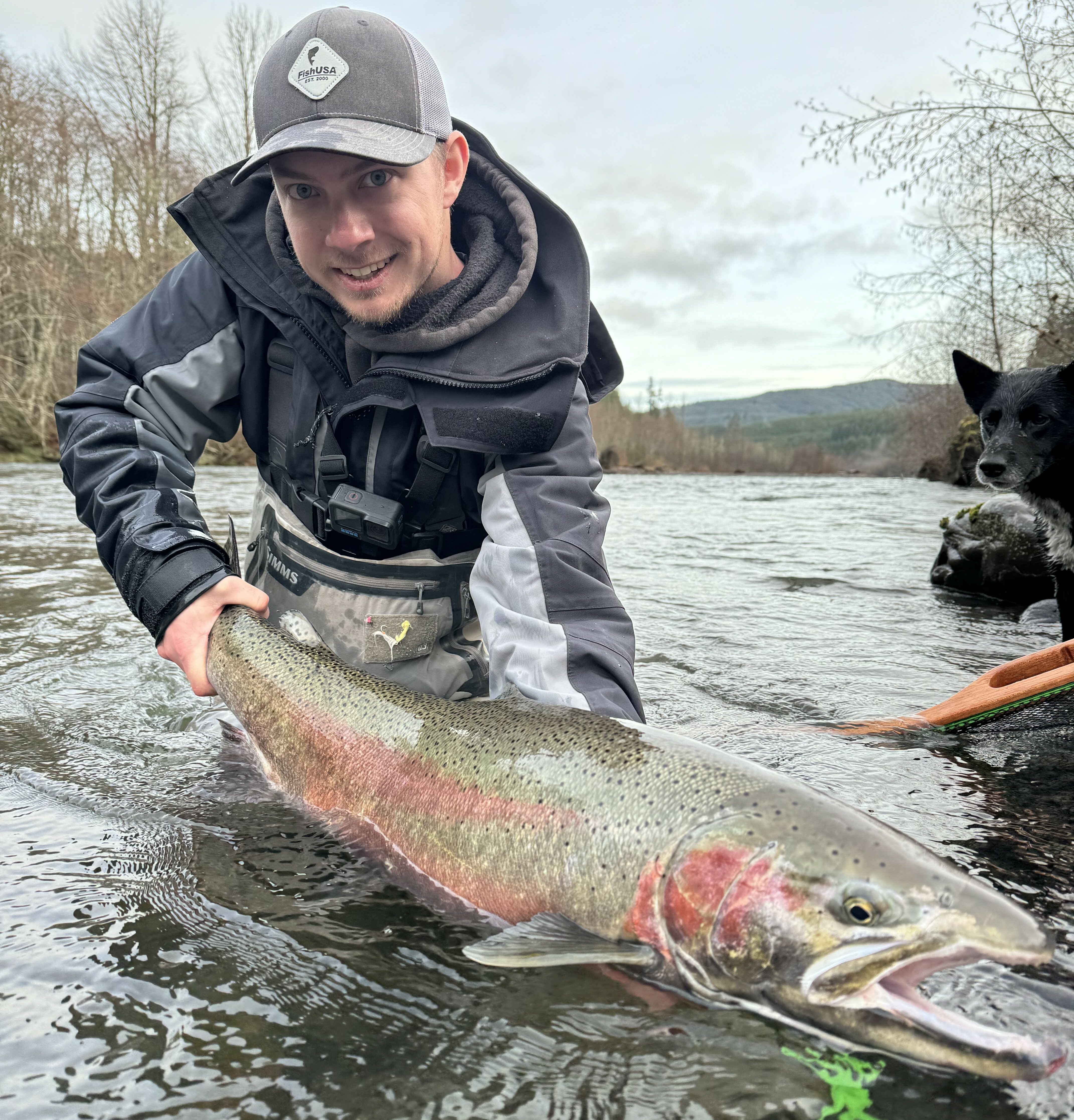 Giant steelhead landed with Mustad ADX Advantage Bead Hook