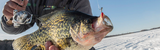 Best Crappie Ice Fishing Lures: Expert Picks for Every Condition