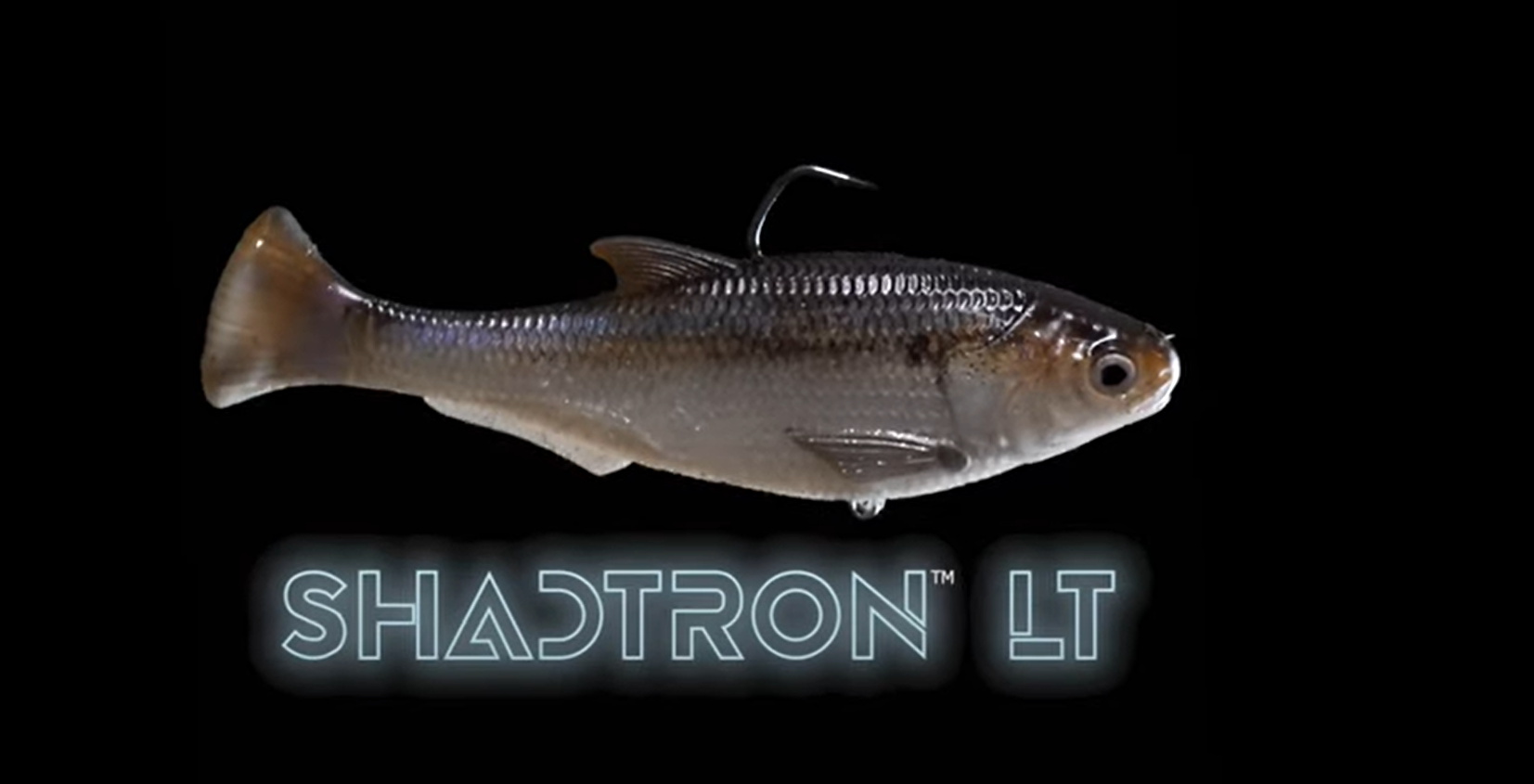 Z-Man Shadtron LT - ICAST 2024 Releases